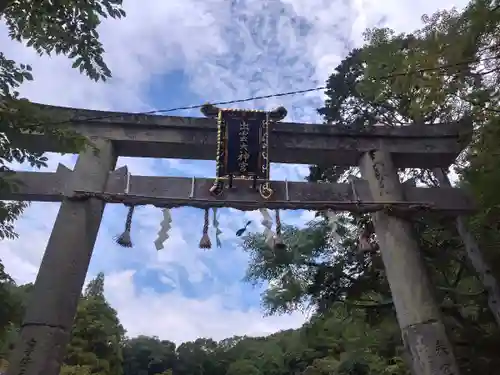 出雲大神宮の鳥居