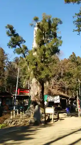 天龍寺(埼玉県)