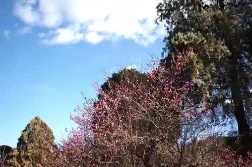 最勝寺の景色