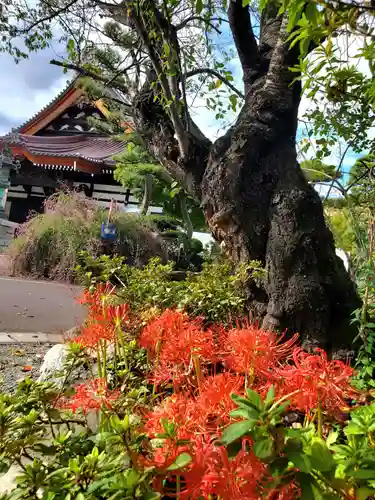 如宝寺(福島県)