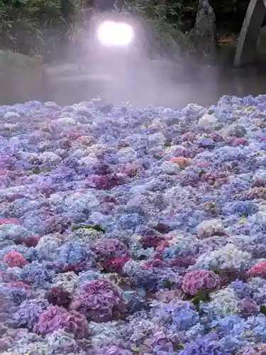 楽法寺（雨引観音）のお祭り