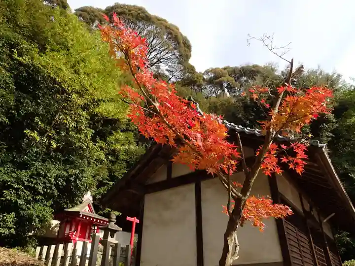御櫛神社の本殿・本堂