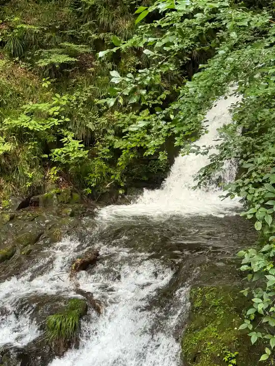 九頭龍神社の{uncategorized: "未分類", other: "その他", undefined: "問題あり", building: "その他建物", grave: "お墓", sacred_gate: "鳥居", guardian: "狛犬", statue: "像", buddha: "仏像", history: "歴史", nature: "自然", garden: "庭園", animal: "動物", pagoda: "塔", temizu: "手水舎", mountain_gate: "山門・神門", sanctuary: "本殿・本堂", subordinate: "末社・摂社", art: "芸術", scenery: "景色", jizo: "地蔵", ema: "絵馬", goshuin: "御朱印", omikuji: "おみくじ", items: "授与品その他", amulet: "お守り", goshuincho: "御朱印帳", eats: "食事", festival: "お祭り", votive_dance: "神楽", shichigosan: "七五三参", wedding: "結婚式", experience: "体験その他", initially: "初詣", around: "周辺", anti_infection: "感染症対策"}