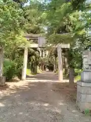 千代ケ岡八幡宮の鳥居