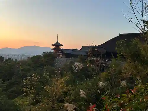 清水寺(京都府)