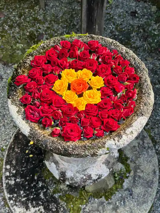 丹生都比売神社(和歌山県)