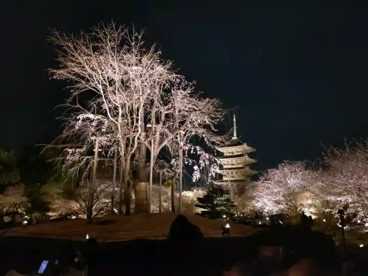 東寺(教王護国寺)の{uncategorized: "未分類", other: "その他", undefined: "問題あり", building: "その他建物", grave: "お墓", sacred_gate: "鳥居", guardian: "狛犬", statue: "像", buddha: "仏像", history: "歴史", nature: "自然", garden: "庭園", animal: "動物", pagoda: "塔", temizu: "手水舎", mountain_gate: "山門・神門", sanctuary: "本殿・本堂", subordinate: "末社・摂社", art: "芸術", scenery: "景色", jizo: "地蔵", ema: "絵馬", goshuin: "御朱印", omikuji: "おみくじ", items: "授与品その他", amulet: "お守り", goshuincho: "御朱印帳", eats: "食事", festival: "お祭り", votive_dance: "神楽", shichigosan: "七五三参", wedding: "結婚式", experience: "体験その他", initially: "初詣", around: "周辺", anti_infection: "感染症対策"}