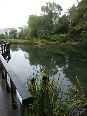 廣源院東福寺の周辺