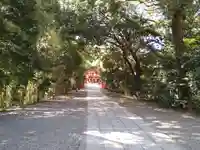 武蔵一宮氷川神社(埼玉県)