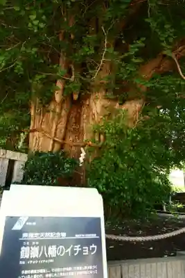 鶴嶺八幡宮(神奈川県)