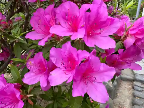 開成山大神宮(福島県)