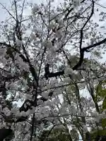 伊勢山皇大神宮(神奈川県)