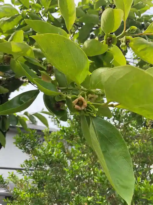 興禅寺(愛知県)