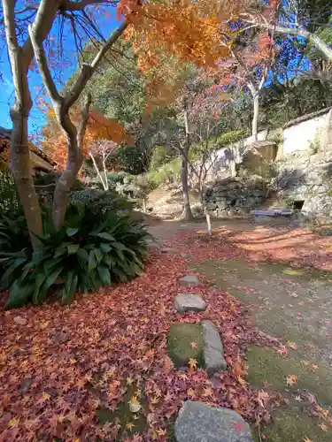 曹源寺(岡山県)