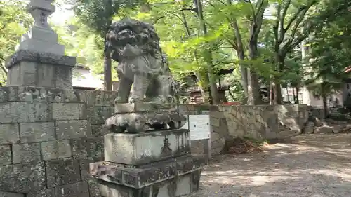 大井俣窪八幡神社の狛犬