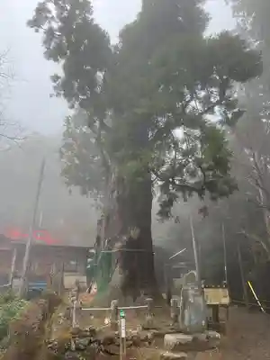 天龍寺(埼玉県)
