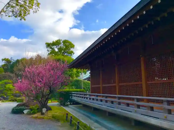 城南宮の本殿・本堂
