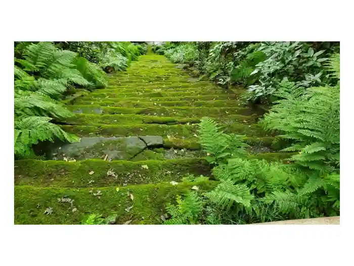 妙法寺の御朱印