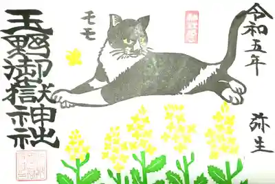 菜の花畑で座するモモちゃん
格好良くキリッとした女の子です。