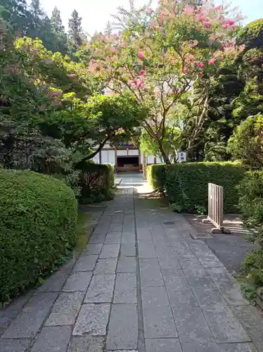 安楽寺の御朱印