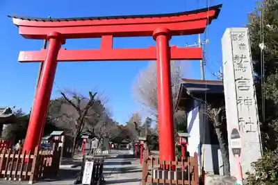 鷲宮神社(埼玉県)