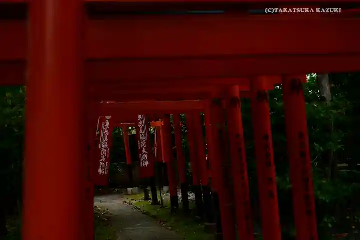 東伏見稲荷神社の鳥居