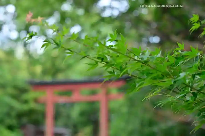 武蔵一宮氷川神社(埼玉県)