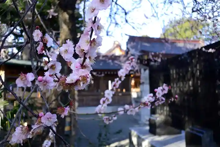 亀ケ池八幡宮のその他建物