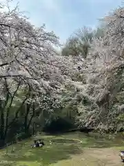 榛名神社(東京都)