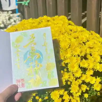 黄色もかわいいですよね😊
水色は白の菊をモチーフとして奉製致しました✨