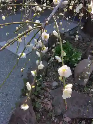 妙法寺（山崎）(神奈川県)