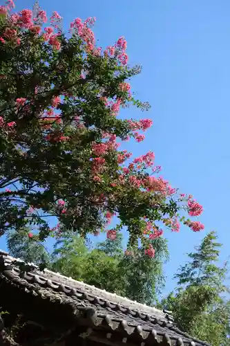 宗泉寺(滋賀県)