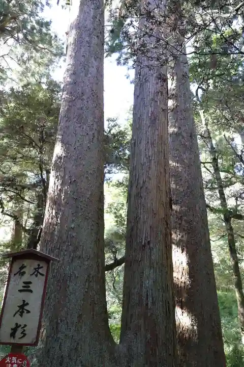 笠森寺(千葉県)