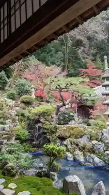 興聖寺(興聖寶林禅寺)(京都府)