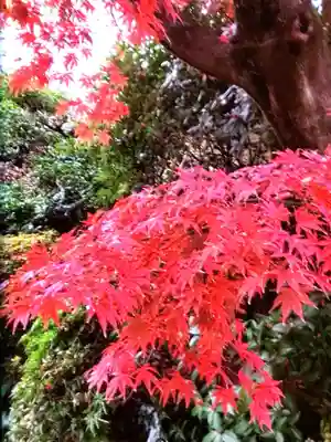 高円寺(東京都)