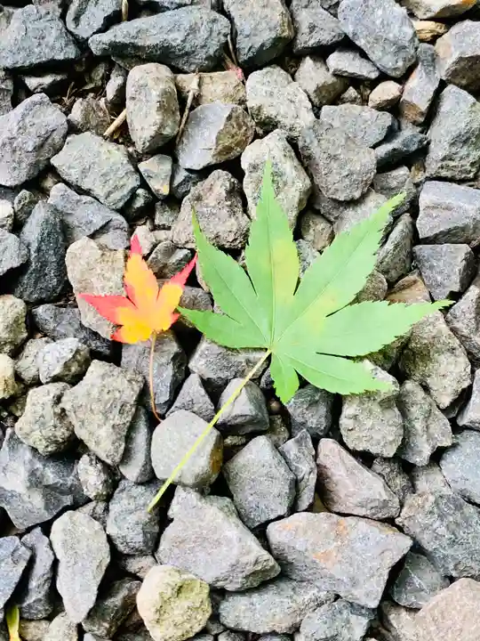 土津神社|こどもと出世の神さまの自然