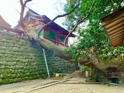 志波彦神社・鹽竈神社(宮城県)