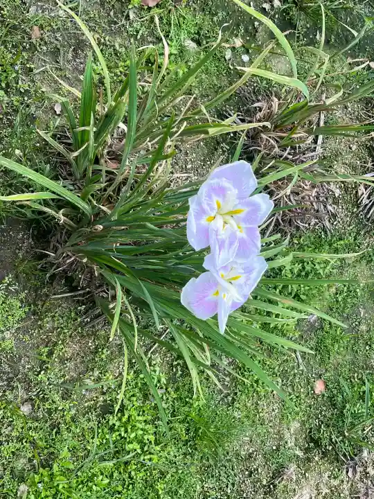 知立神社(愛知県)