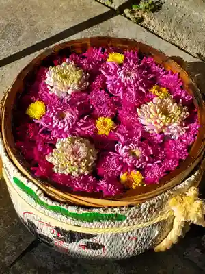 木幡山隠津島神社(二本松市)(福島県)