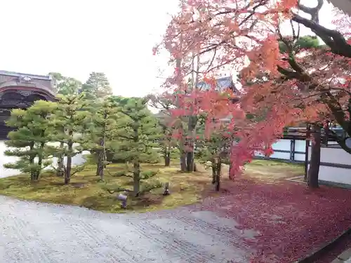 仁和寺の庭園