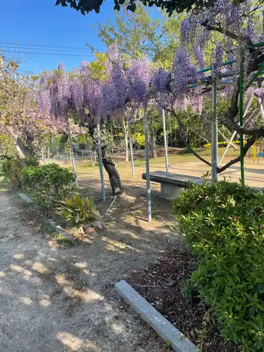 貴船神社の自然