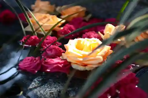 三津厳島神社の手水舎