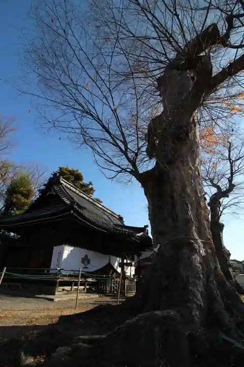科野大宮社(長野県)