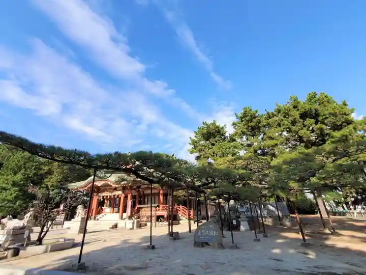 浜宮天神社の自然