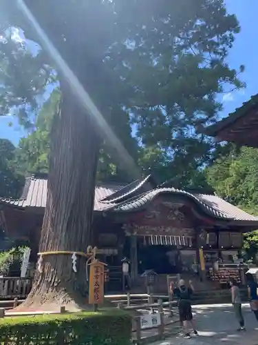 北口本宮冨士浅間神社の本殿