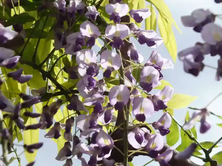 志那神社の自然