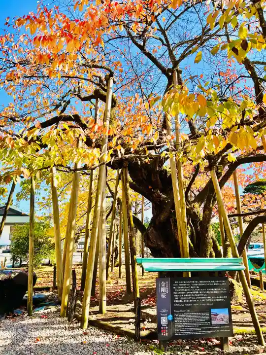 日光山輪王寺大護摩堂の{uncategorized: "未分類", other: "その他", undefined: "問題あり", building: "その他建物", grave: "お墓", sacred_gate: "鳥居", guardian: "狛犬", statue: "像", buddha: "仏像", history: "歴史", nature: "自然", garden: "庭園", animal: "動物", pagoda: "塔", temizu: "手水舎", mountain_gate: "山門・神門", sanctuary: "本殿・本堂", subordinate: "末社・摂社", art: "芸術", scenery: "景色", jizo: "地蔵", ema: "絵馬", goshuin: "御朱印", omikuji: "おみくじ", items: "授与品その他", amulet: "お守り", goshuincho: "御朱印帳", eats: "食事", festival: "お祭り", votive_dance: "神楽", shichigosan: "七五三参", wedding: "結婚式", experience: "体験その他", initially: "初詣", around: "周辺", anti_infection: "感染症対策"}