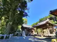 愛宕神社(阿多古神社)(京都府)