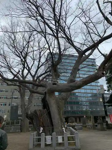 阿邪訶根神社の自然