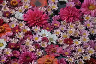 大鏑神社の手水舎